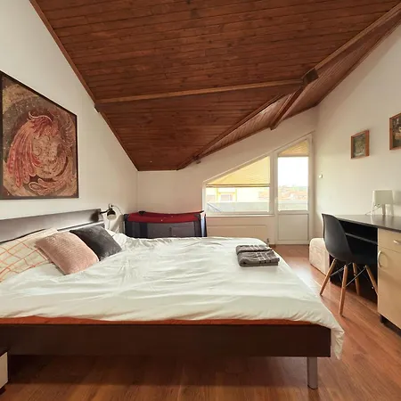 Apartament Corner House Montana